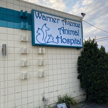 Warner Avenue Animal Hospital 30 Photos 216 Reviews Veterinarians 8546 Warner Ave Fountain Valley Ca Phone Number