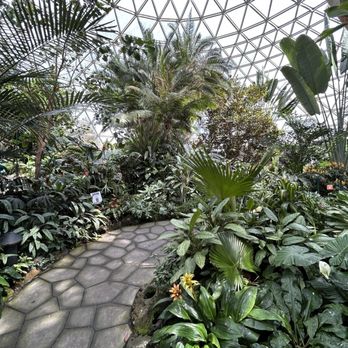 Bloedel Conservatory - Botanical Gardens Near Me - Vancouver, British Columbia