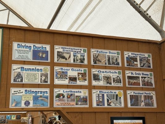 Rooster Cogburn Ostrich Ranch by null