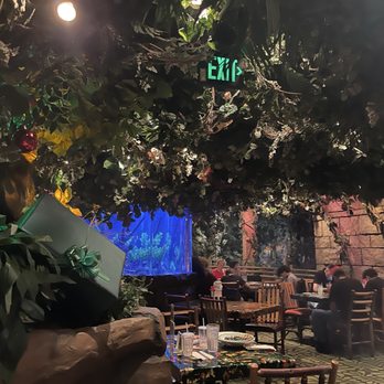 Rainforest Cafe - American Near Me - San Antonio, Texas