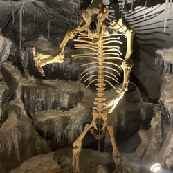 Cave Bear