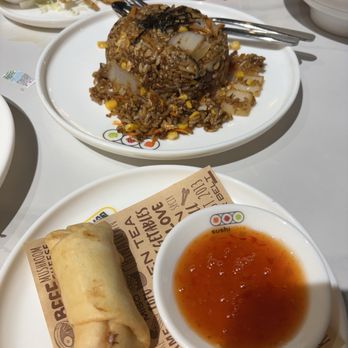 Sushi Plus Rotary Sushi Bar - Fried Rice; Mango and Cheese egg roll - Conveyor Belt Sushi Near Me - Chicago, Illinois Sushi Plus Rotary Sushi Bar - Fried Rice; Mango and Cheese egg roll - Conveyor Belt Sushi Near Me - Chicago, Illinois