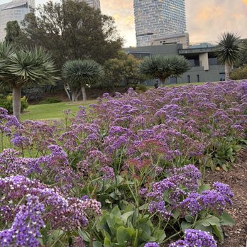 Royal Botanic Gardens - Botanical Gardens Near Me - Sydney, NSW