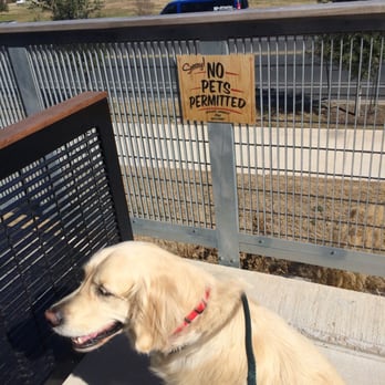 Torchy's Tacos - No dogs on the patio! My Golden was sad ! - Tex-Mex Near Me - Austin, Texas Torchy's Tacos - No dogs on the patio! My Golden was sad ! - Tex-Mex Near Me - Austin, Texas