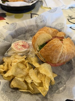 Chicken Salad Chick by null