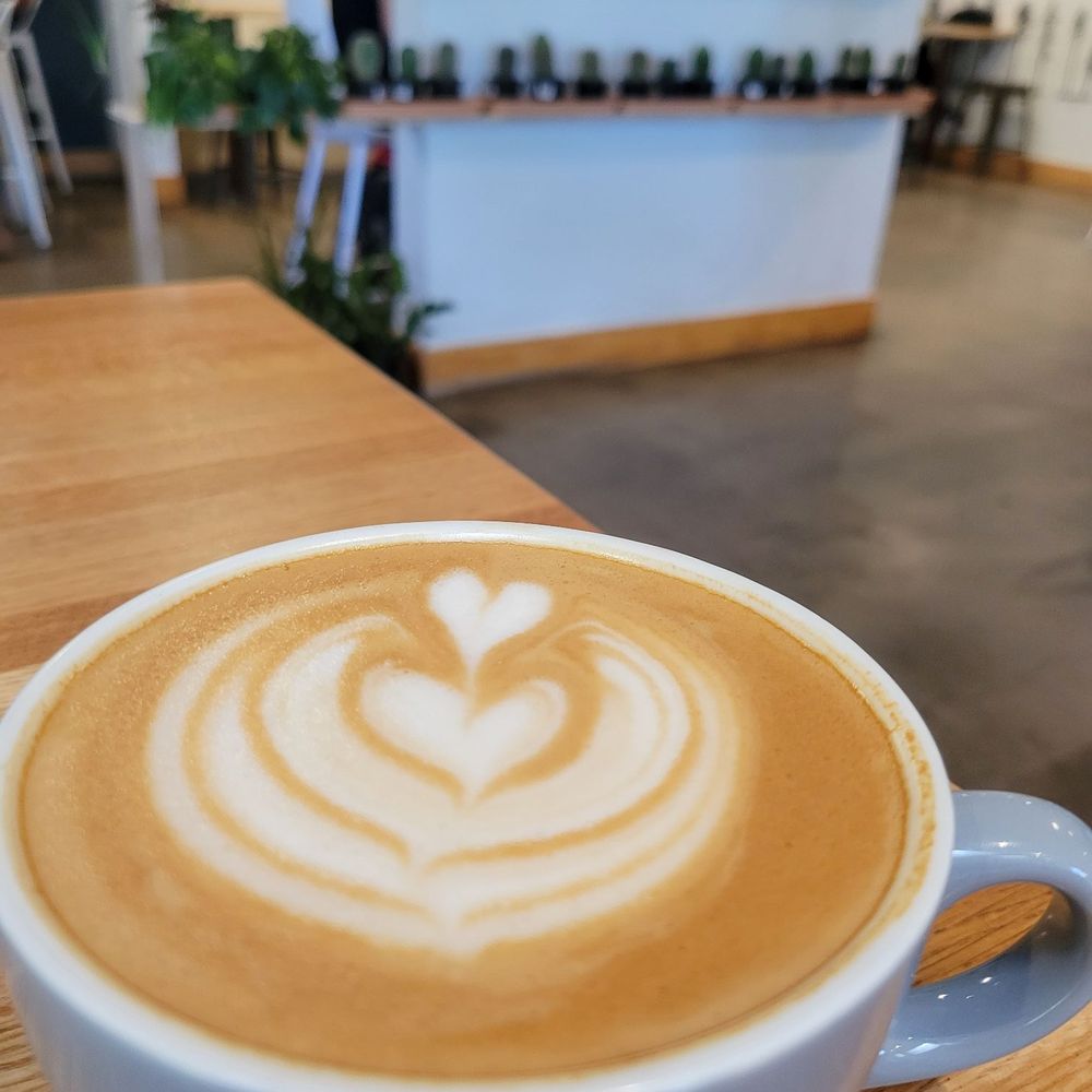 Little Bear Coffee - Oat Latte - Perfecto - Coffee & Tea Near Me - Albuquerque, New Mexico