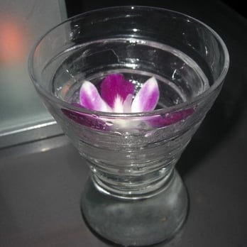 zinc@shade - The Enchanting $6 Orchid Martini - New American Near Me - Manhattan Beach, California zinc@shade - The Enchanting $6 Orchid Martini - New American Near Me - Manhattan Beach, California