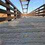 Photo of The Tridge