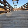 The Tridge gift card