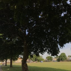 Tufts Park