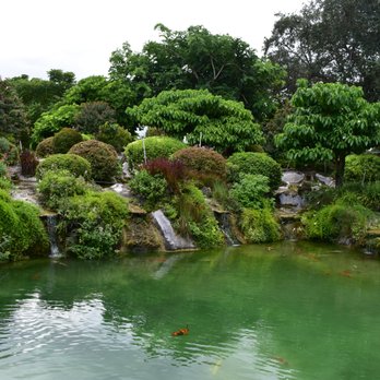 Redland Koi & Pond - Gorgeous backdrop - Aquariums Near Me - Homestead, Florida Redland Koi & Pond - Gorgeous backdrop - Aquariums Near Me - Homestead, Florida