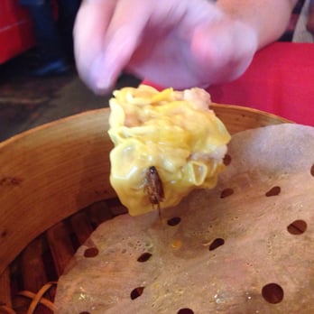 Chinatown North - Chinese Near Me - Austin, Texas