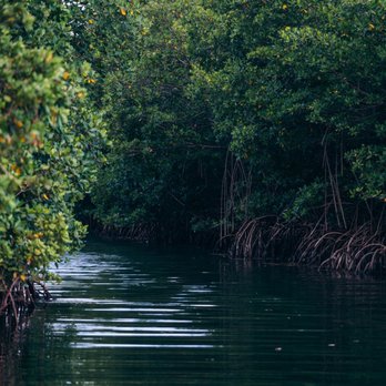 Reef Marine - Boating Near Me - Islamorada, Florida