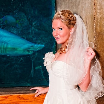 Marina Zinovyeva Photography - Boston aquarium wedding - Professional Services Near Me - Manchester, New Hampshire Marina Zinovyeva Photography - Boston aquarium wedding - Professional Services Near Me - Manchester, New Hampshire