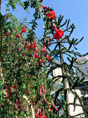Salesforce Park by null