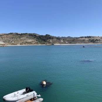 Port San Luis Harbor District - Public Services & Government Near Me - Avila Beach, California Port San Luis Harbor District - Public Services & Government Near Me - Avila Beach, California