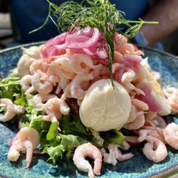 Bee Kök & Bar - Shrimp sandwich