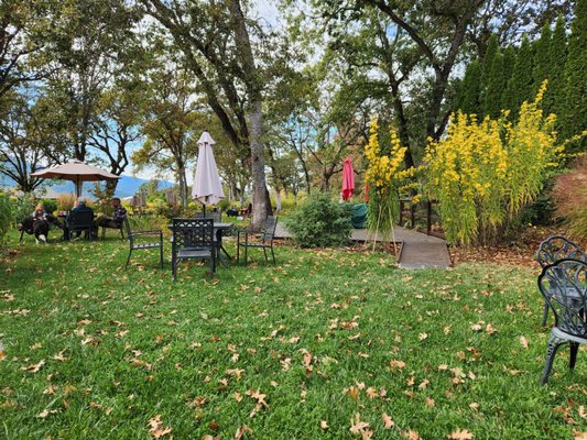 Troon Vineyard & Farm by null