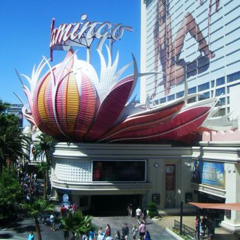 Flamingo Las Vegas - Hotels Near Me - Las Vegas, Nevada Flamingo Las Vegas - Hotels Near Me - Las Vegas, Nevada