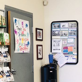 Lakeside Pet Hospital - Veterinarians Near Me - Folsom, California