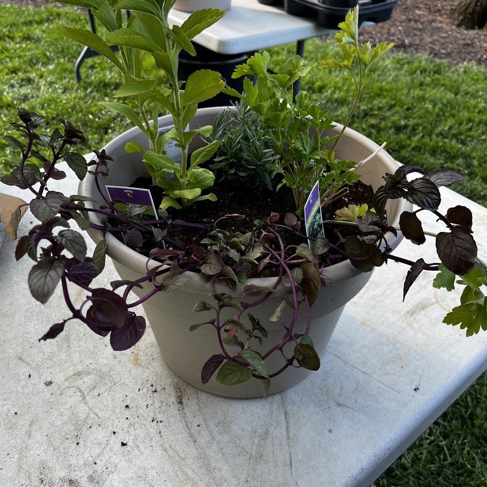 Build a garden class