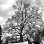 Photo of Hilltop Park