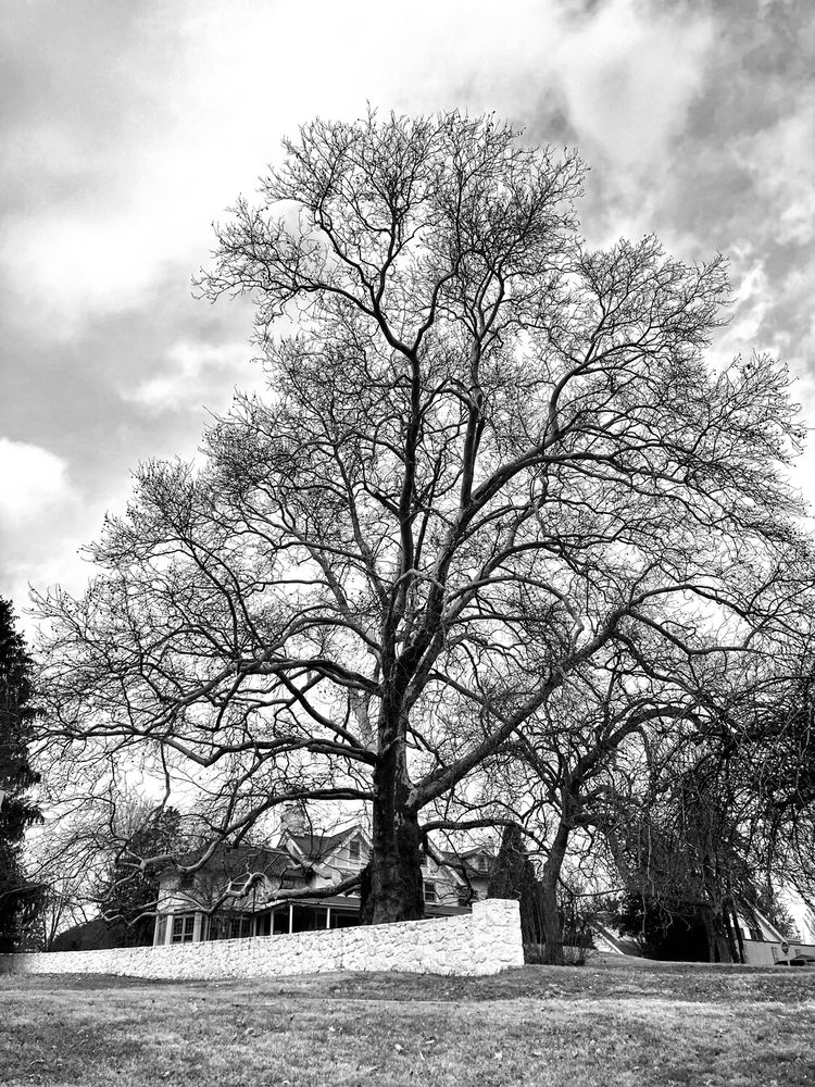 HILLTOP PARK Updated October 2024 26 Photos 580 Beaumont Rd