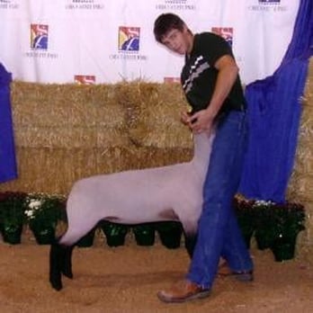 Lorain County Fair - A Boy and his Sheep - Venues & Event Spaces Near Me