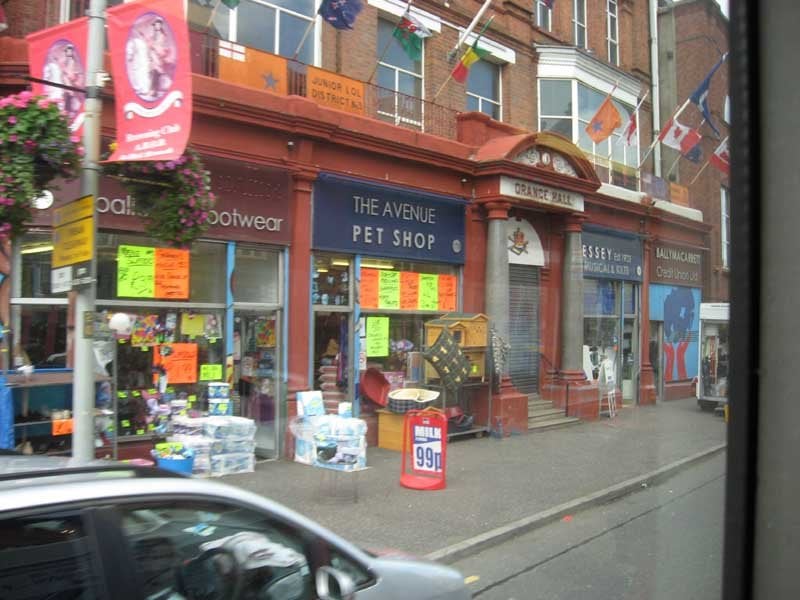 AVENUE PET SHOP Updated September 2024 176 Albertbridge Road