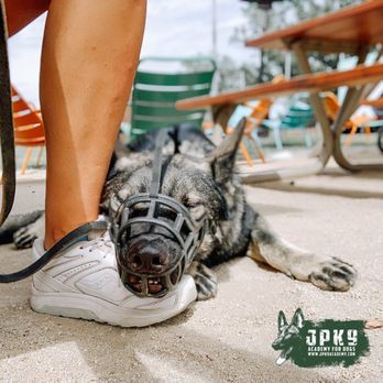 JPK9 Academy - Pet Training Near Me - Elk Grove, California