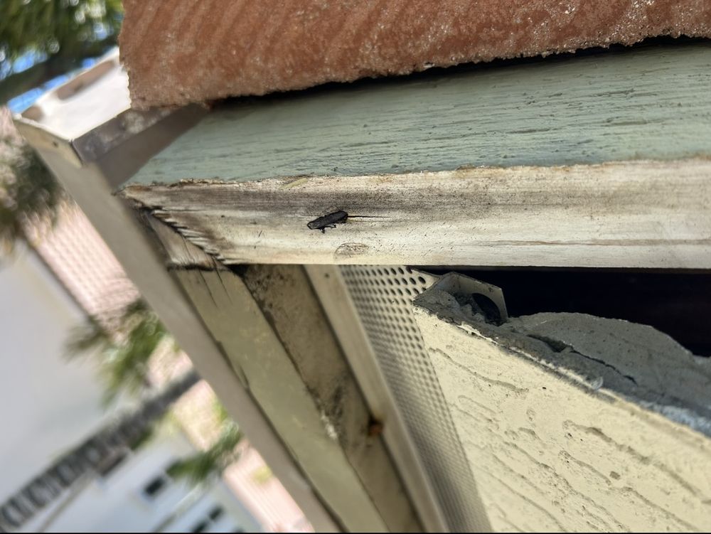 Slide of A Coast Roof