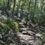 Photo of Bearwallow Mountian Trail