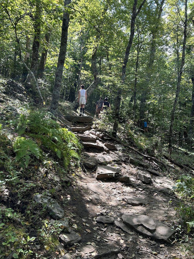 Bearwallow Mountian Trail Logo