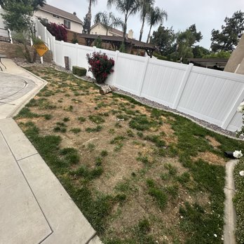 RP Synthetic Turf - Artificial Turf Near Me - Fontana, California RP Synthetic Turf - Artificial Turf Near Me - Fontana, California