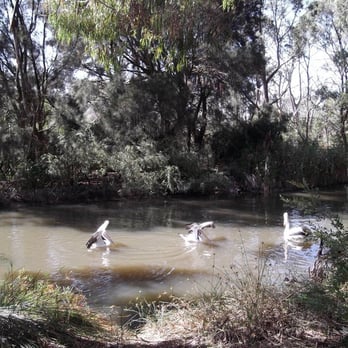 Cleland Wildlife Park - Coffee & Tea Near Me - Crafers, SA