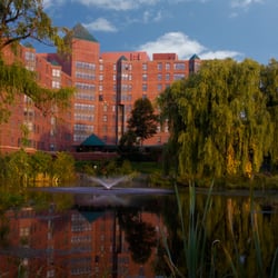 The Glenn Hopkins - Willow Pond