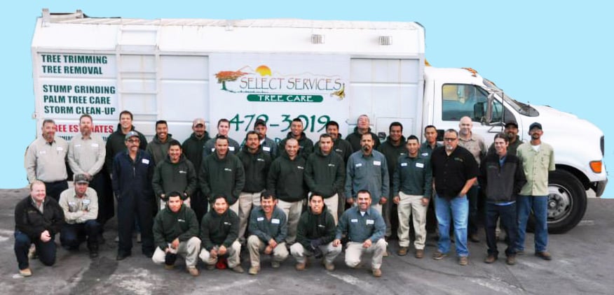 Select Services - tree service in Las Vegas, NV