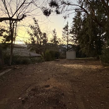AC Tree Service - Big fallen tree gone - Tree Services Near Me - Rialto, California