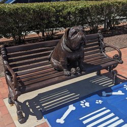 Handsome Dan Statue