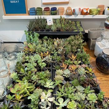 Mason Jar Plant Shop - Nurseries & Gardening Near Me - Kalamazoo, Michigan Mason Jar Plant Shop - Nurseries & Gardening Near Me - Kalamazoo, Michigan