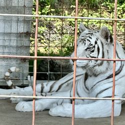 East Coast Exotic Animal Rescue