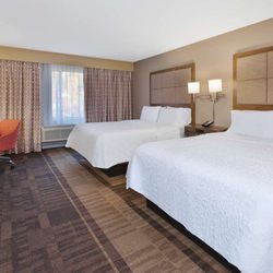 Hampton Inn Waterbury - Guest room