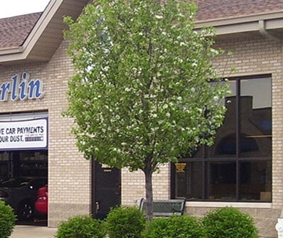 MERLIN COMPLETE AUTO CARE - Updated March 2025 - 38 Reviews - 8601 75th