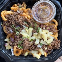 BIRRIA FRIES but never put cheese on the important thing