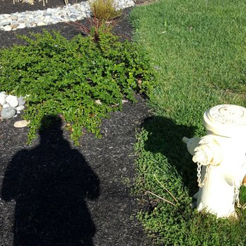Swanson's Landscaping - Can't even tell they dug a trench - Landscaping Near Me Swanson's Landscaping - Can't even tell they dug a trench - Landscaping Near Me