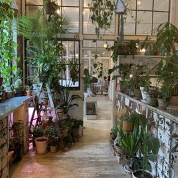 This place is a dream. I don't need a haircut and now all of a sudden I want a coffee and haircut. Adorable