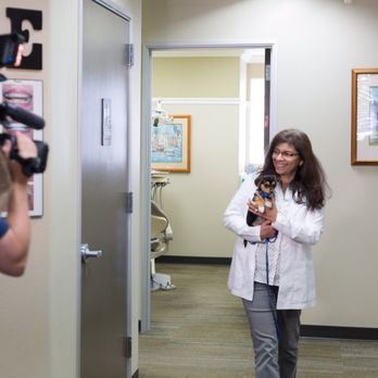 Smiles4OC - Smiles4OC was on Fox 11 on National Puppy Day 3/23 for saving this little puppy that was left in the alley in the sun in a box! - Pediatric Dentists Near Me - Costa Mesa, California Smiles4OC - Smiles4OC was on Fox 11 on National Puppy Day 3/23 for saving this little puppy that was left in the alley in the sun in a box! - Pediatric Dentists Near Me - Costa Mesa, California