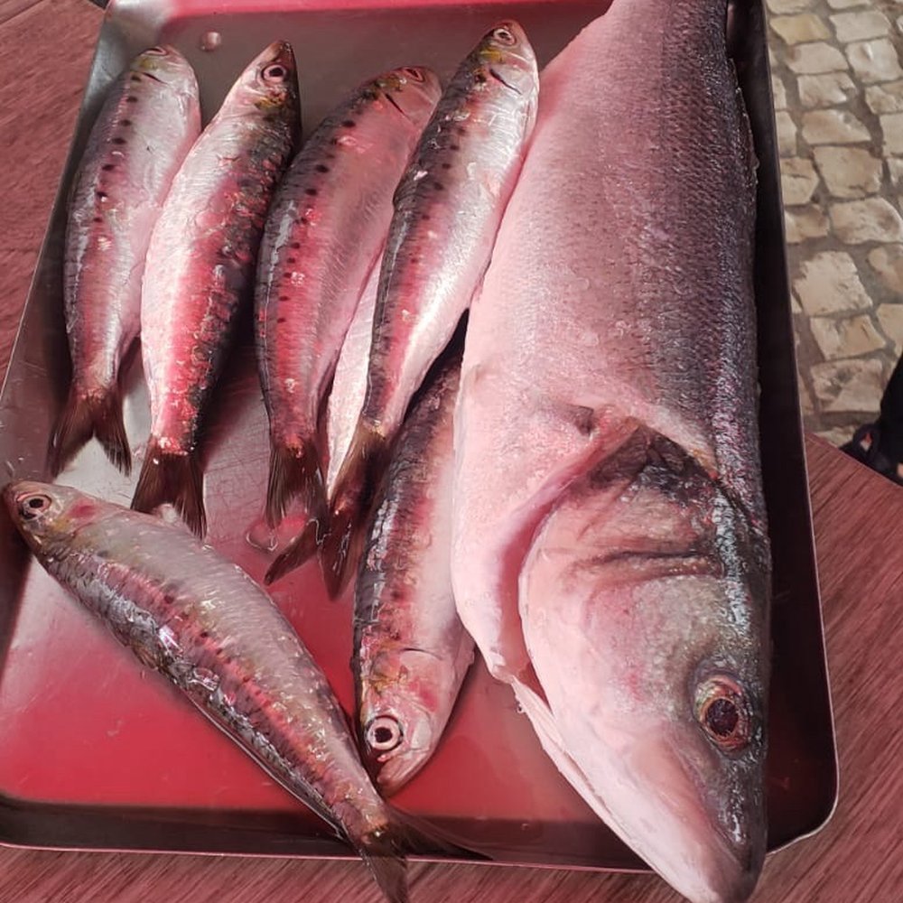 Cervejaria Talize - Before the grill. Sardines and Branzino. - Portuguese Near Me - Faro, 08