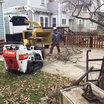 NFL Tree Company - Tree Services Near Me - Richfield, Ohio