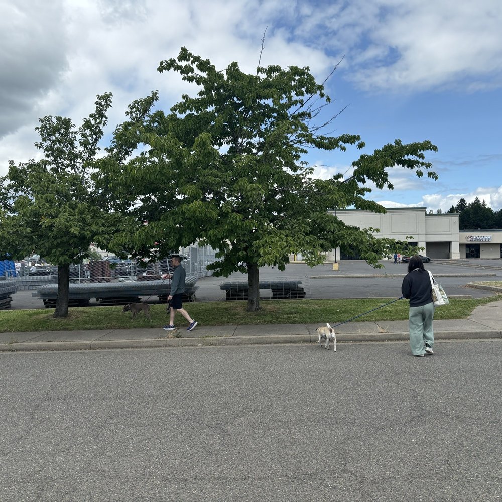 Tesla Supercharger - Sutherlin - Across the street, grass area to walk dog - EV Charging Stations Near Me - Sutherlin, Oregon Tesla Supercharger - Sutherlin - Across the street, grass area to walk dog - EV Charging Stations Near Me - Sutherlin, Oregon